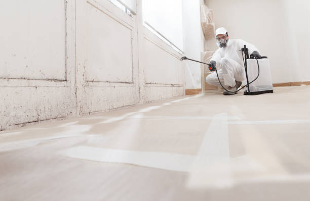 24/7 Emergency Commercial Mold Remediation experts in Mebane, NC